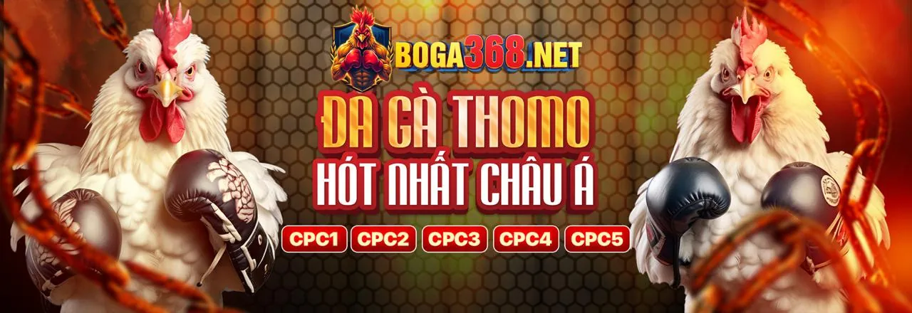 Hình ảnh máy đánh bạc với tỷ lệ hoàn trả cao tại ok9 win