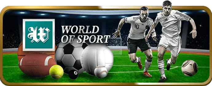 Gà chiến đang trong trận đấu căng thẳng tại ok9 win